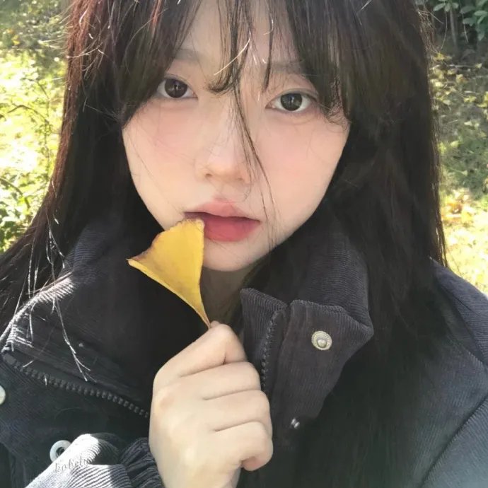 陨石大灾难